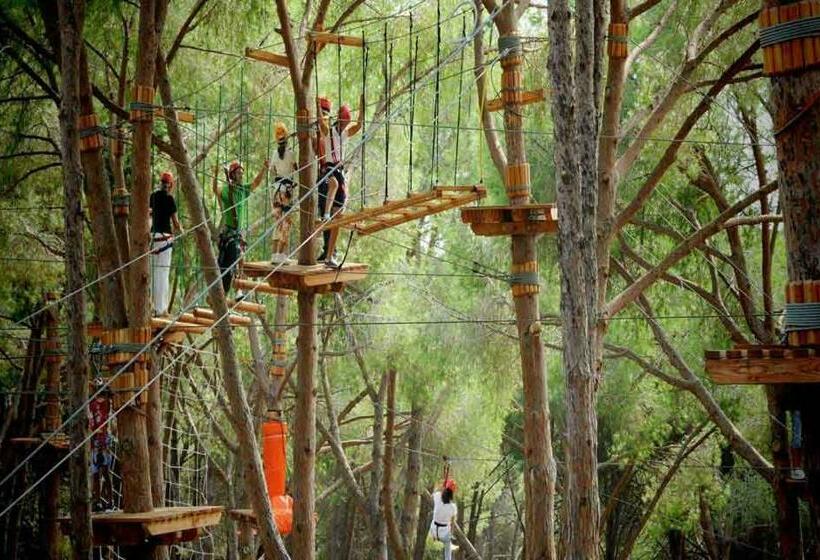 膳宿费 Mamma Loretta House