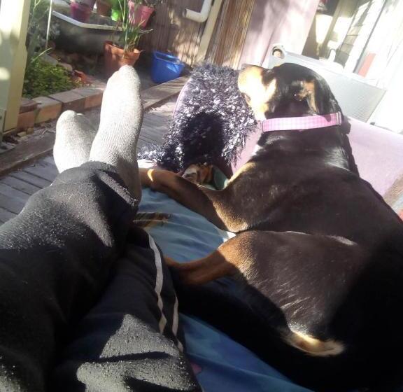 住宿加早餐  Sylvia Lodge A Step Back In Time Pet Friendly Homestay