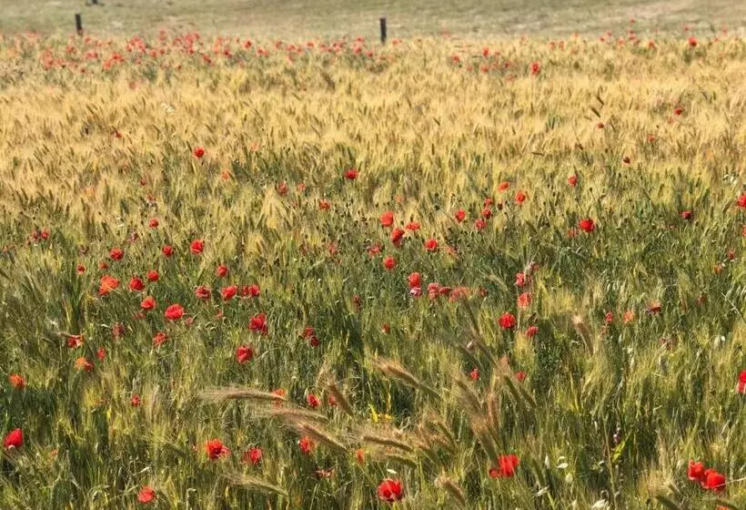 تختخواب و صبحانه Villa Tiche