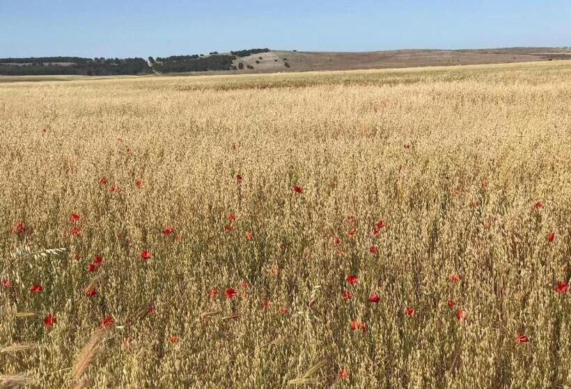 住宿加早餐  Villa Tiche
