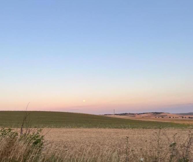 住宿加早餐  Villa Tiche