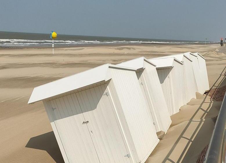 פנסיון Gastenverblijf Hof Moye Tyt