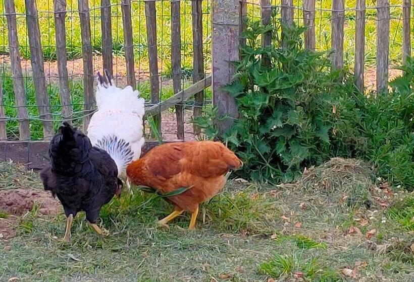 פנסיון Gastenverblijf Hof Moye Tyt