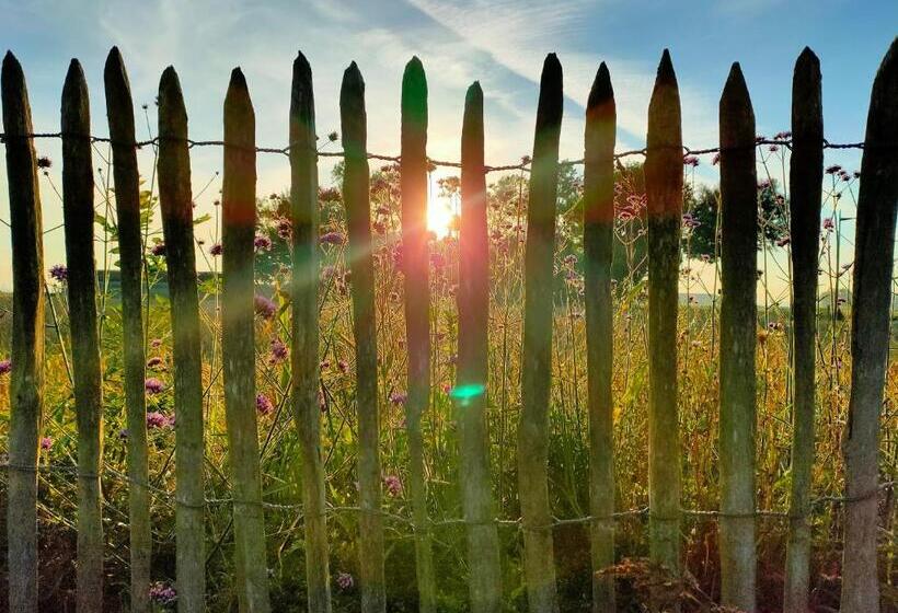 פנסיון Gastenverblijf Hof Moye Tyt