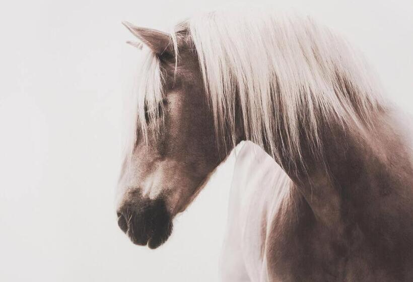 펜션 Rustling Oaks Nz Boho Pool House