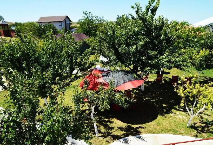 Pensiunea Zelezneac