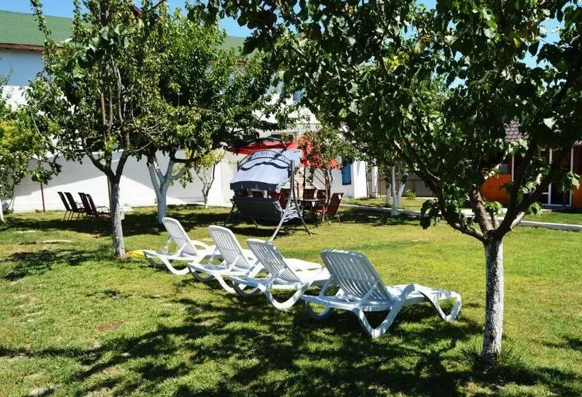Pensiunea Zelezneac