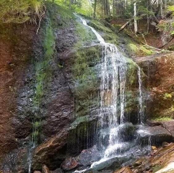 Общежитие Beach Street Inn