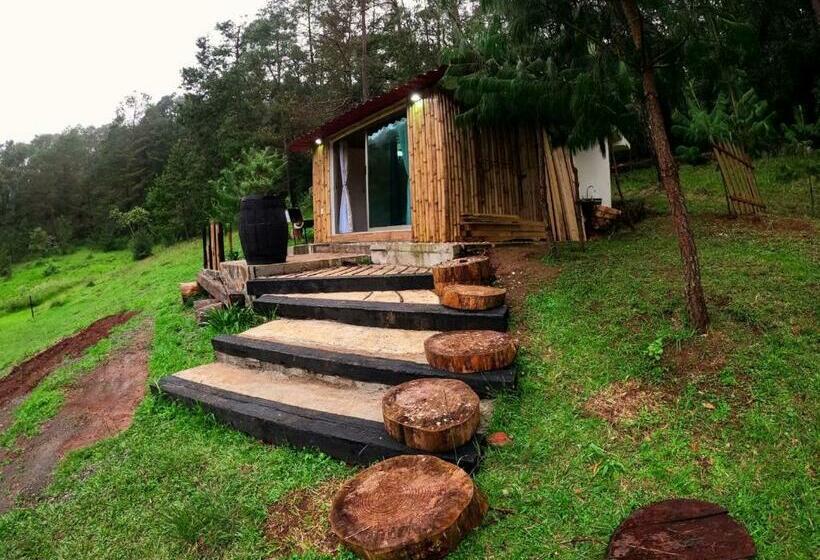 Bed and Breakfast Cabaña Romántica En El Bosque!