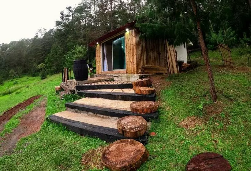 ベッドアンドブレックファースト Cabaña Romántica En El Bosque!