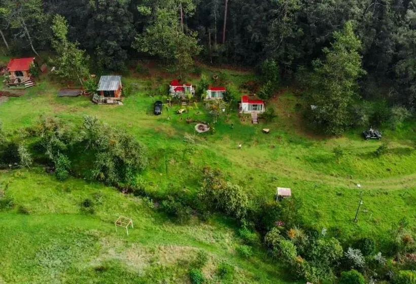 ベッドアンドブレックファースト Cabaña Romántica En El Bosque!