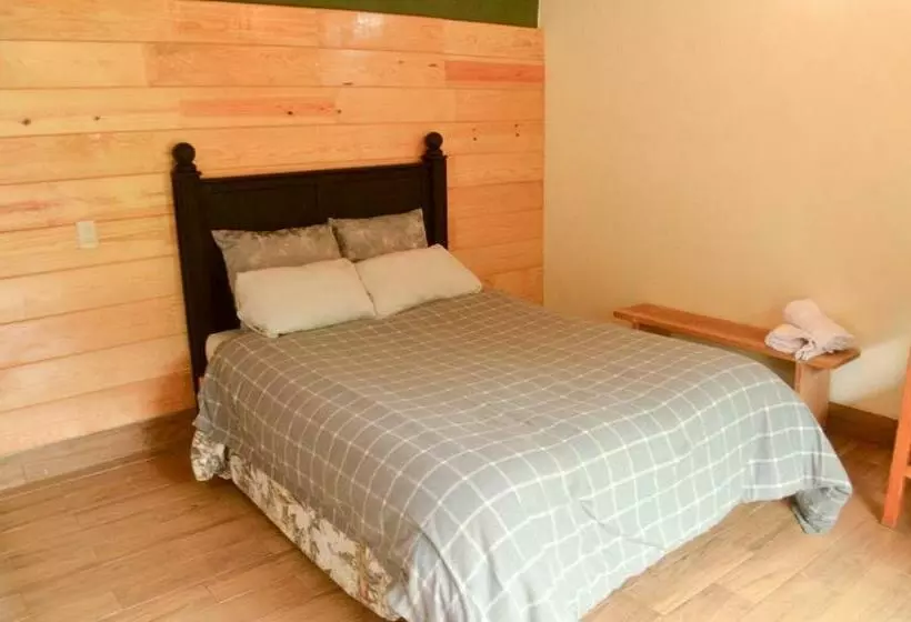 ベッドアンドブレックファースト Cabaña Romántica En El Bosque!