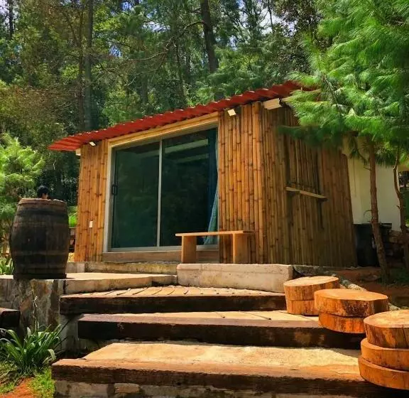 ベッドアンドブレックファースト Cabaña Romántica En El Bosque!