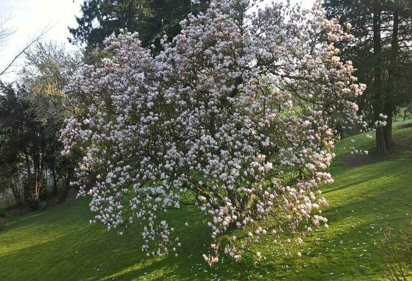 צימר L Aubergine