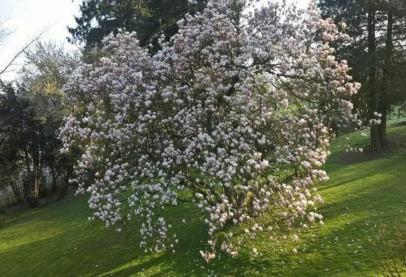 Aamiaismajoitus (B&B) L Aubergine