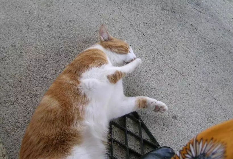 ベッドアンドブレックファースト La Grange Aux Roses