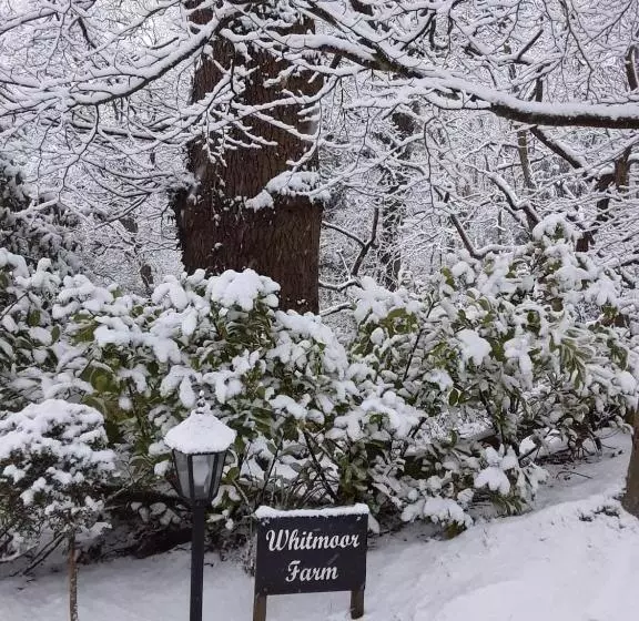 ホテル Whitmoor Farm