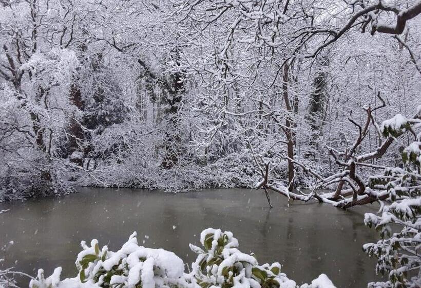 ホテル Whitmoor Farm