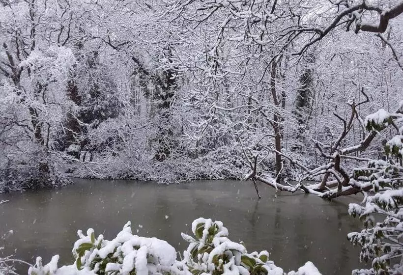 ホテル Whitmoor Farm