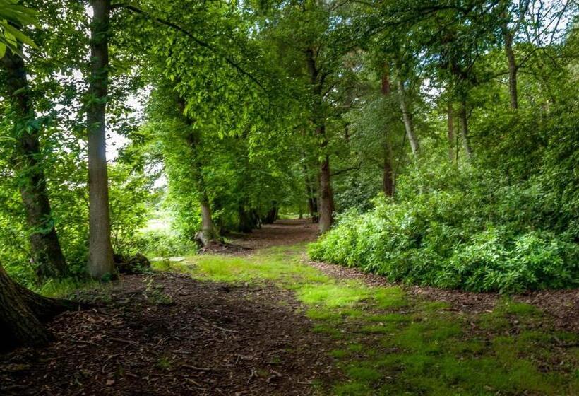 ホテル Whitmoor Farm