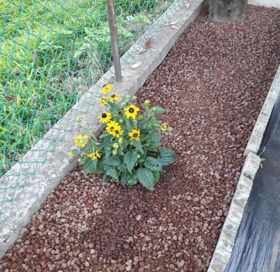 פנסיון Ca  Di Burghi