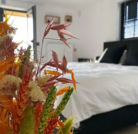 Majatalo Damse Paveljoentje Comfort En Uitzicht In Damme