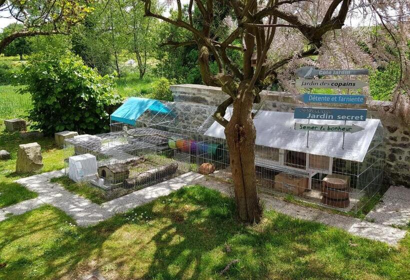 膳宿费 Duplex Swimming Cats