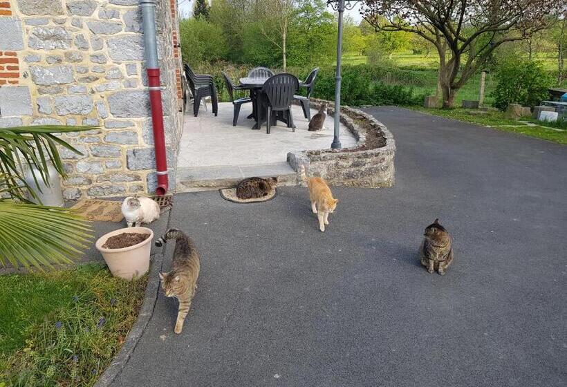 膳宿费 Duplex Swimming Cats