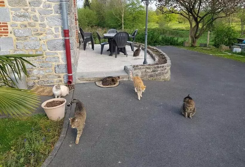 ペンション Duplex Swimming Cats