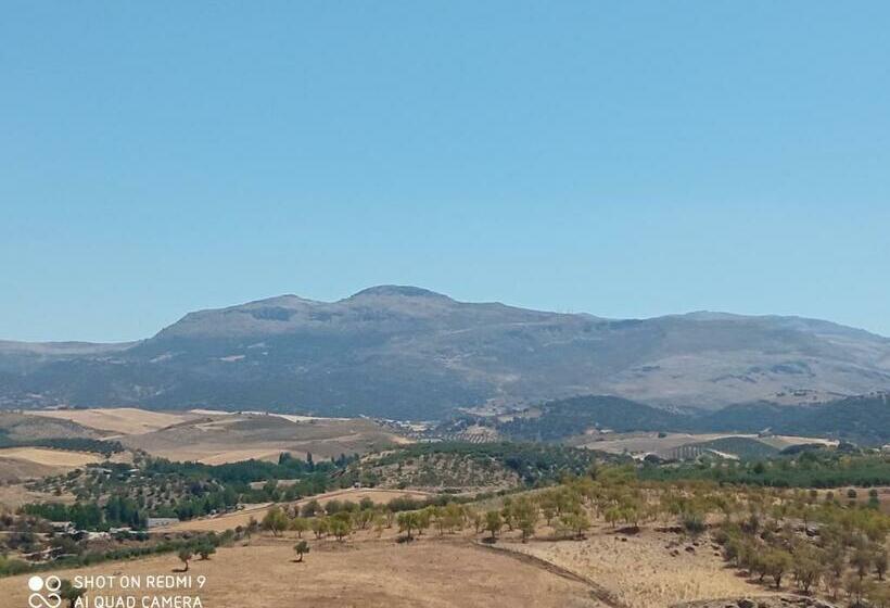 پانسیون Old Town