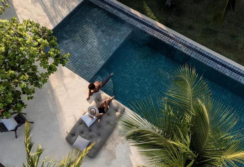 膳宿费 Avra Tatajuba