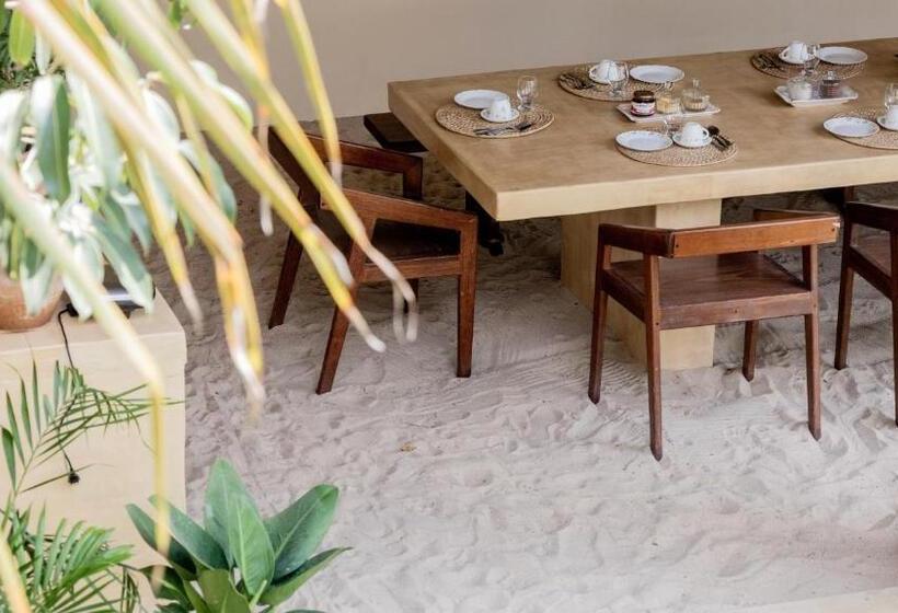 膳宿费 Avra Tatajuba