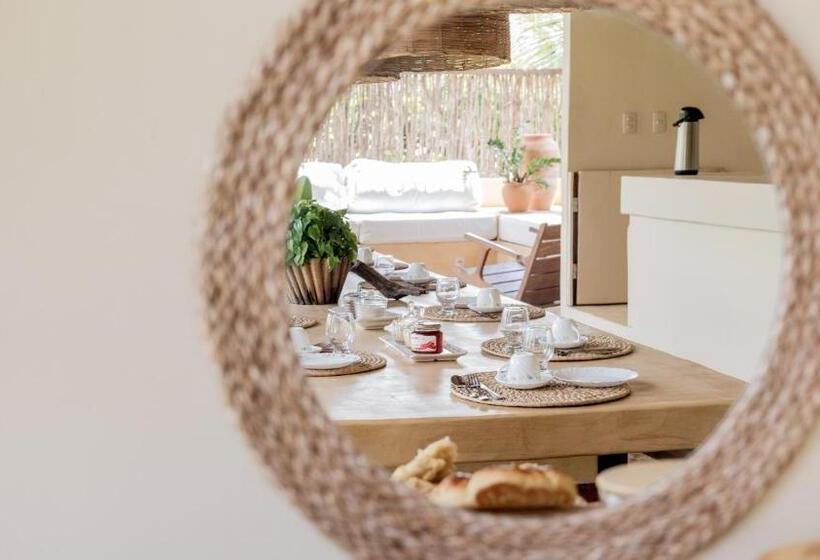 膳宿费 Avra Tatajuba