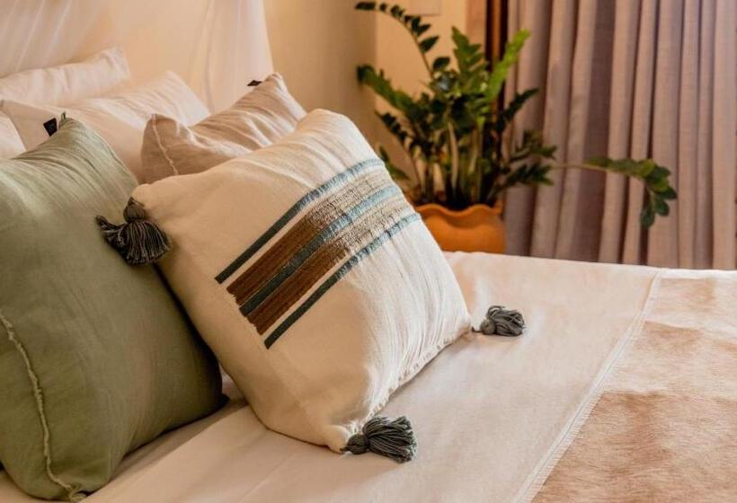 膳宿费 Avra Tatajuba