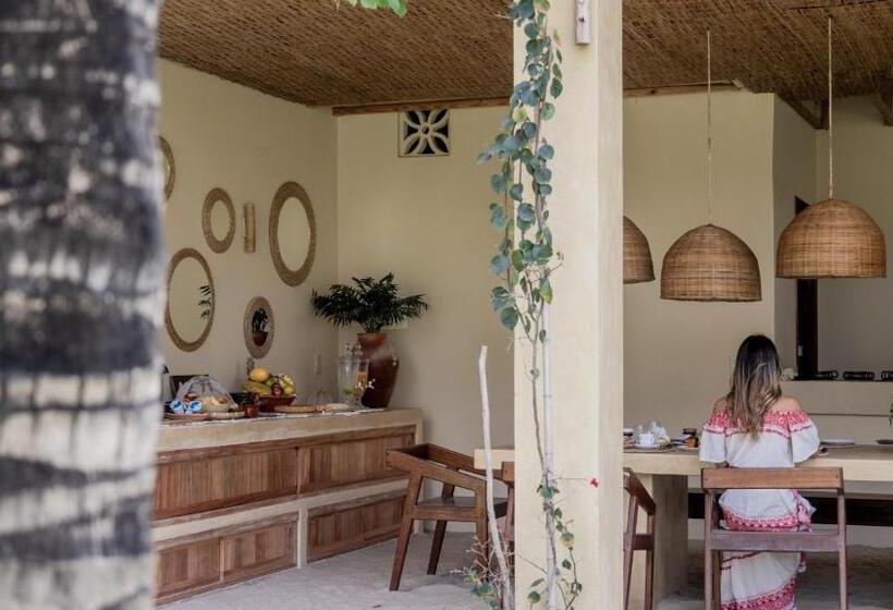 膳宿费 Avra Tatajuba