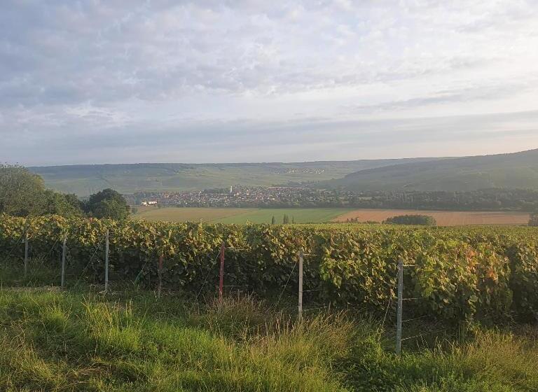 פנסיון Chambres La Fabière Vauciennes  Epernay