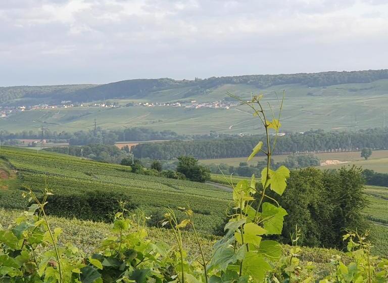 פנסיון Chambres La Fabière Vauciennes  Epernay