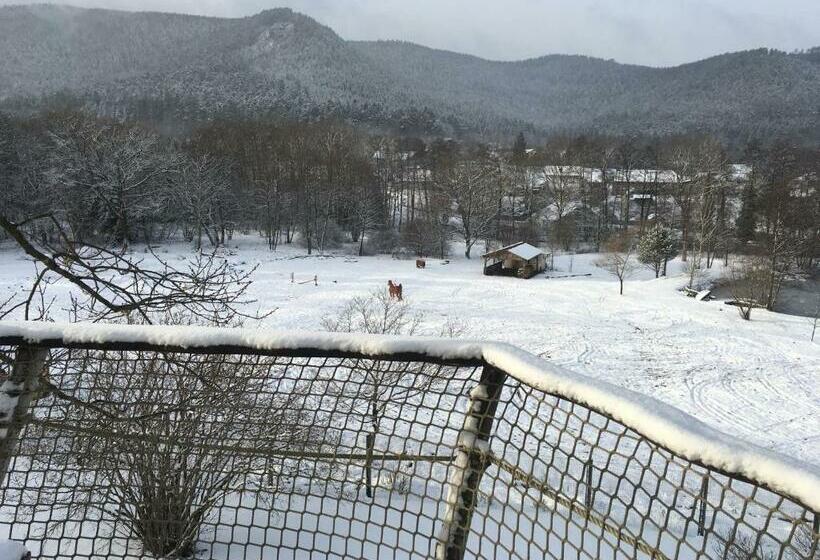פנסיון Gaïa   Les Cabanes Du Chêne Rouvre