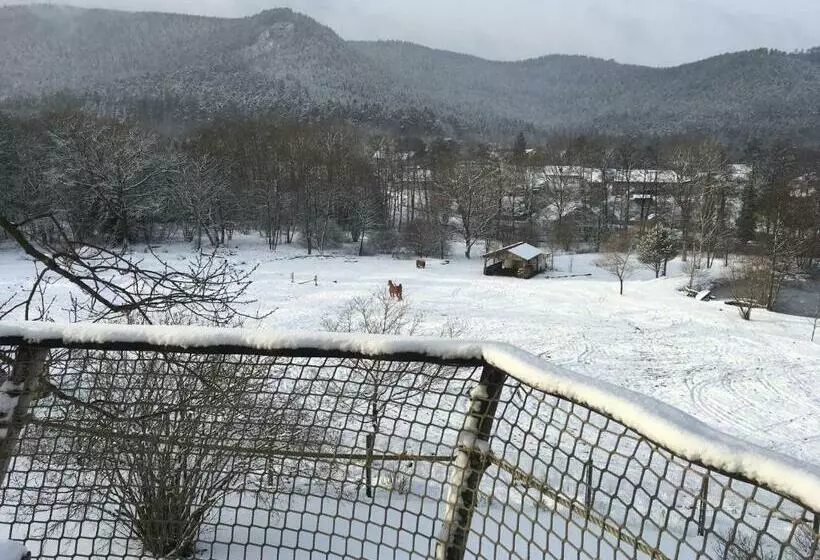 ペンション Gaïa   Les Cabanes Du Chêne Rouvre