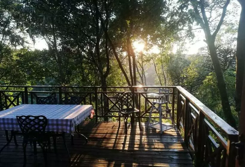 Aamiaismajoitus (B&B) Cabbage Tree Cottage