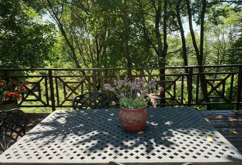Aamiaismajoitus (B&B) Cabbage Tree Cottage
