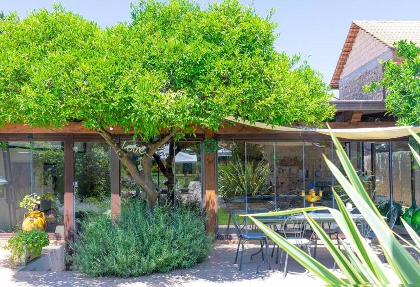 Nocleg ze śniadaniem Cantine Cipri Resort