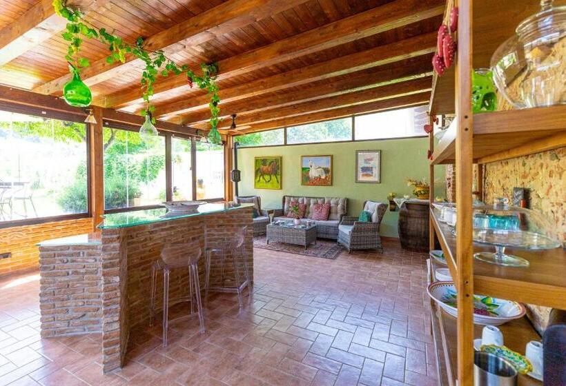 Nocleg ze śniadaniem Cantine Cipri Resort