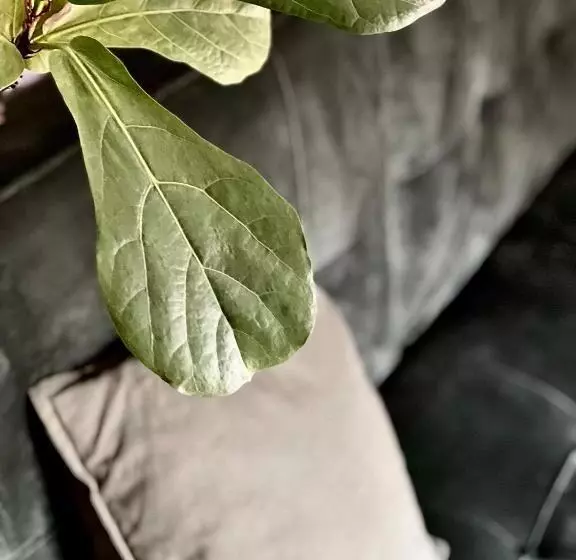 Boutique Rezidence Baar