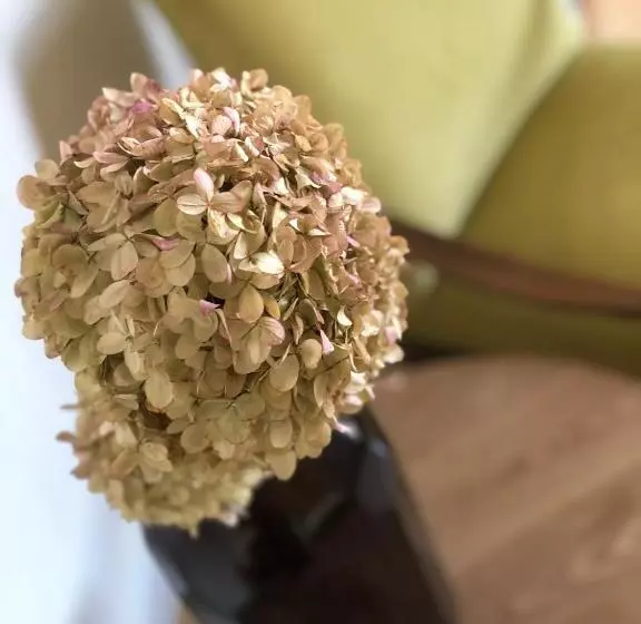 Boutique Rezidence Baar