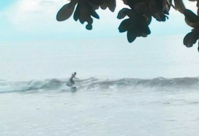 Condominium Lippo Carita Selatan   Lantai Dasar