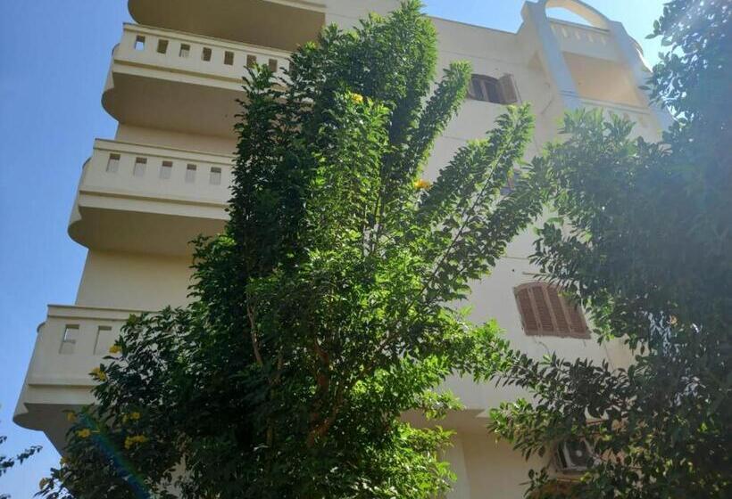پانسیون Elsanosy Family Guest House   Luxor