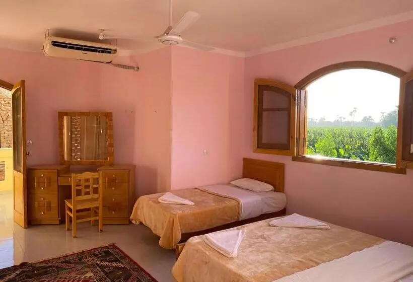 پانسیون Elsanosy Family Guest House   Luxor