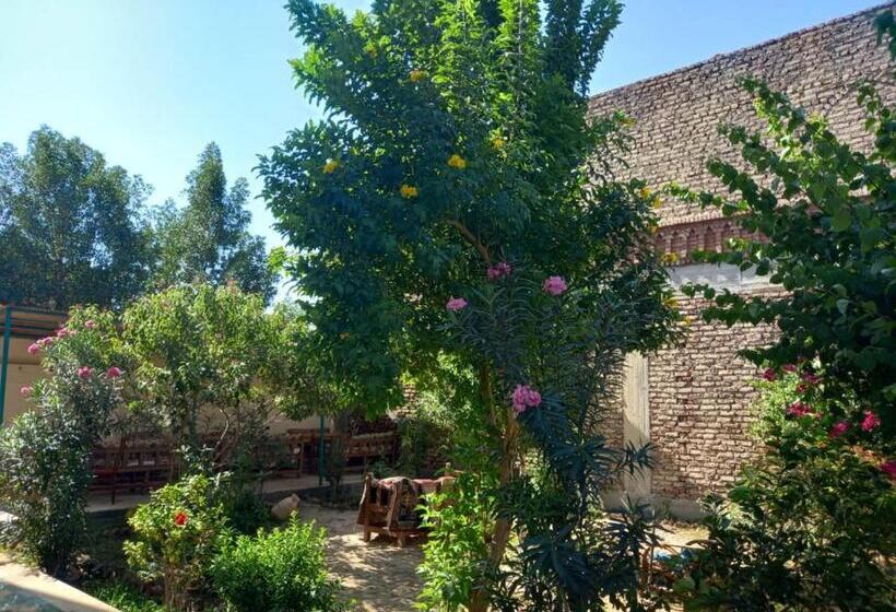 پانسیون Elsanosy Family Guest House   Luxor