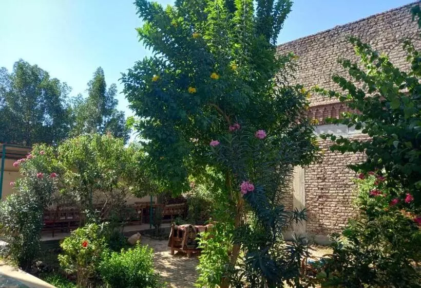 پانسیون Elsanosy Family Guest House   Luxor